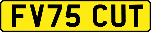 FV75CUT