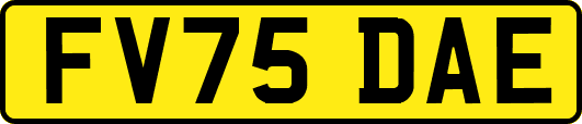 FV75DAE
