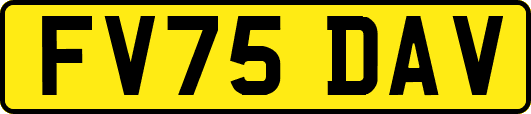 FV75DAV