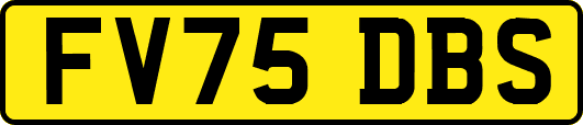 FV75DBS