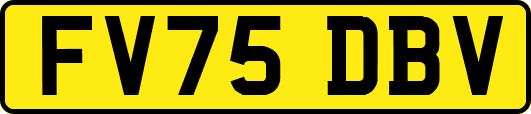 FV75DBV