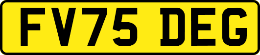 FV75DEG