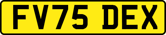 FV75DEX