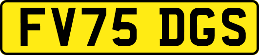 FV75DGS