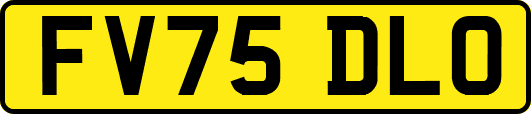 FV75DLO
