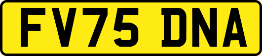FV75DNA