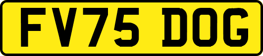 FV75DOG