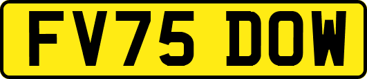 FV75DOW
