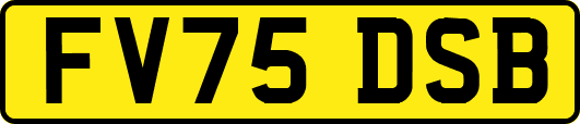 FV75DSB