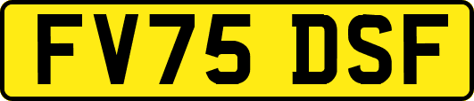 FV75DSF