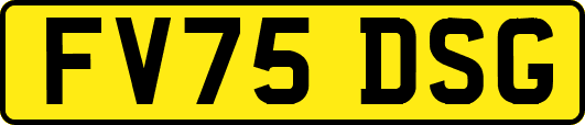 FV75DSG