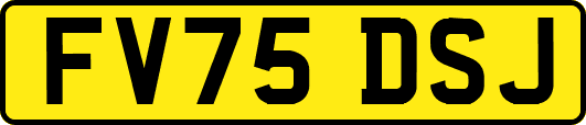 FV75DSJ