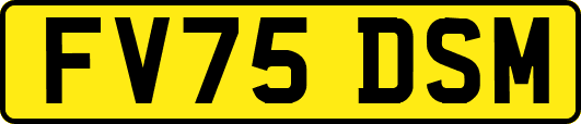FV75DSM