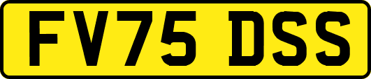 FV75DSS
