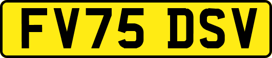 FV75DSV