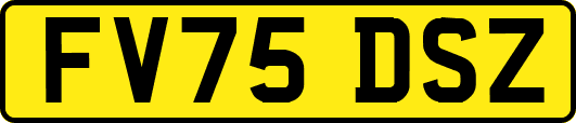 FV75DSZ