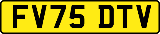 FV75DTV
