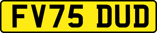 FV75DUD