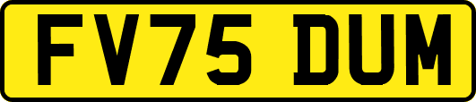 FV75DUM