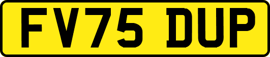 FV75DUP