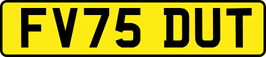 FV75DUT