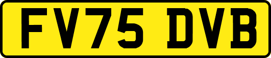 FV75DVB