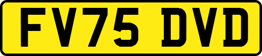 FV75DVD