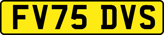 FV75DVS