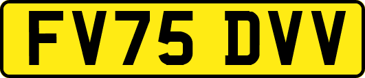 FV75DVV