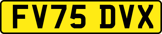 FV75DVX