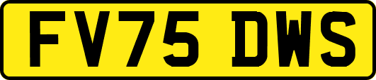 FV75DWS