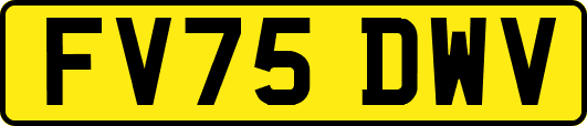 FV75DWV