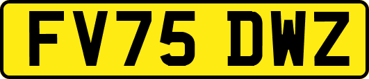 FV75DWZ