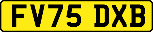 FV75DXB