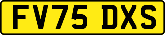 FV75DXS