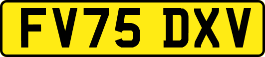FV75DXV