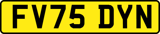 FV75DYN