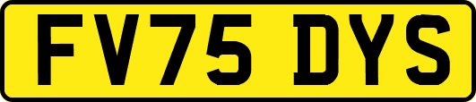 FV75DYS