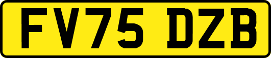 FV75DZB