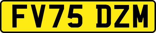 FV75DZM