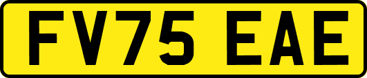 FV75EAE