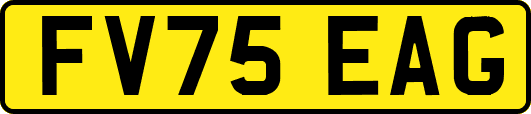 FV75EAG