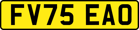 FV75EAO