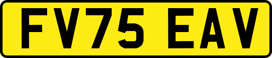 FV75EAV