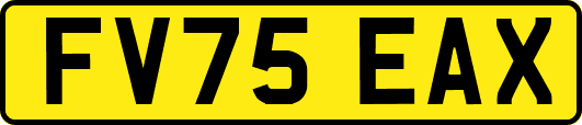 FV75EAX