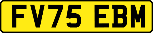 FV75EBM