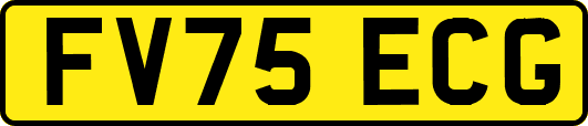 FV75ECG