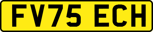 FV75ECH