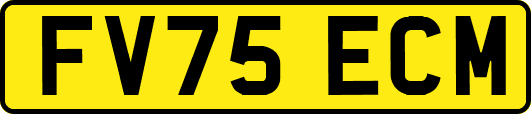 FV75ECM