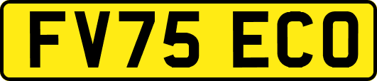 FV75ECO